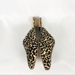Matisse Zip It Leopard Calf Hair Mules Size 8